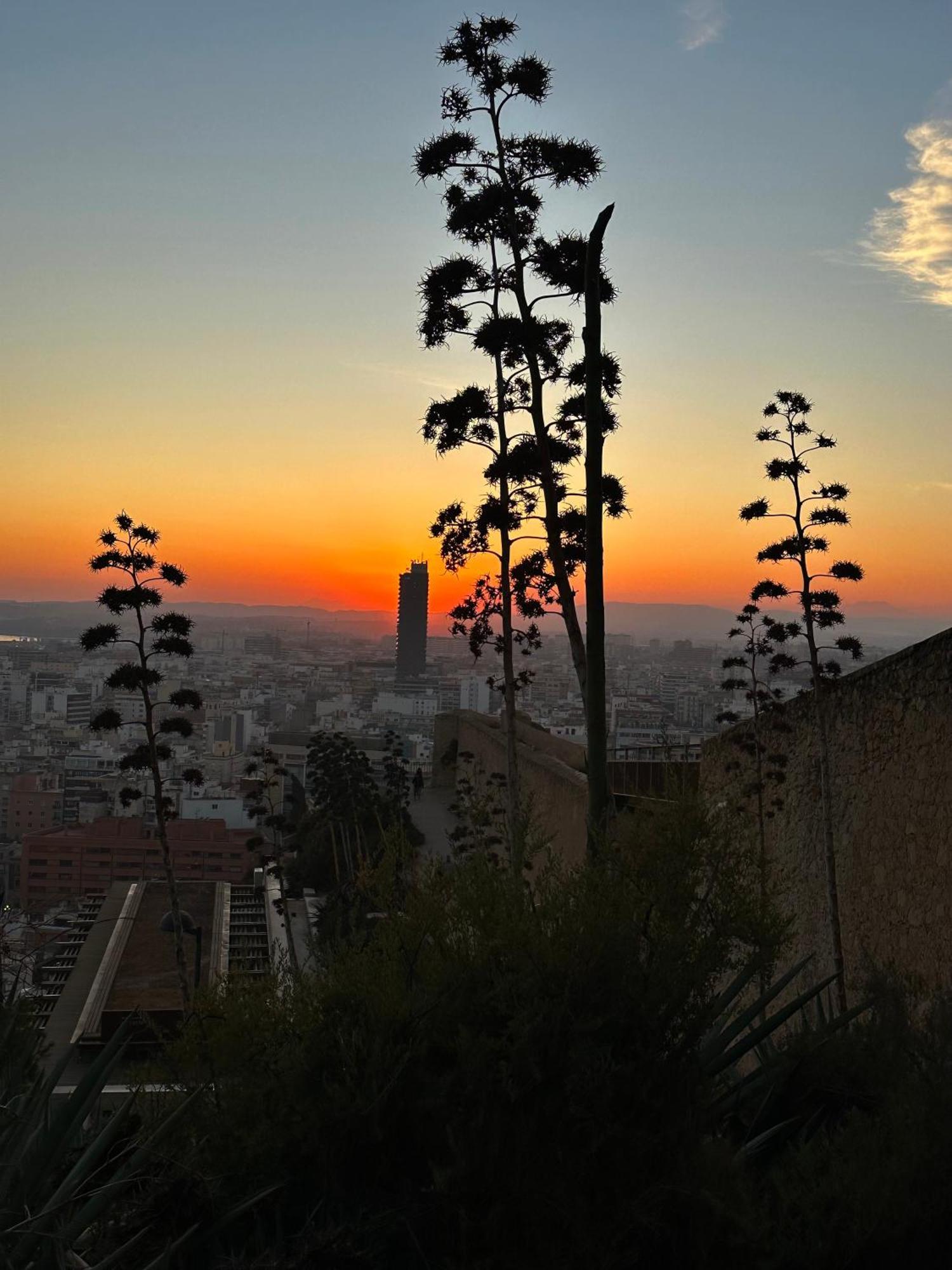 Apartmán La Rambla 43 Contactless Alicante Exteriér fotografie